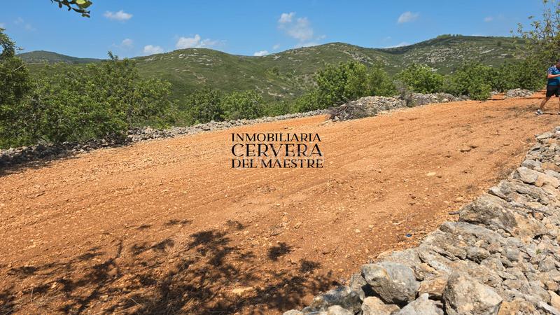 Foto fd166fd6-aab6-4301-bc36-fee63c0c8a47. Finca rústica a Cervera del Maestre