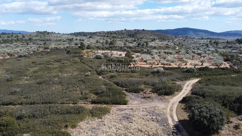 Foto 97074f99-55e6-4419-91be-2951120b3b22. Masia a Canet lo Roig