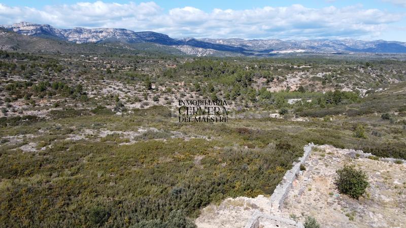 Foto e2c8734e-f0e6-4bf3-ab2f-5f3fe831a002. Masia a Canet lo Roig