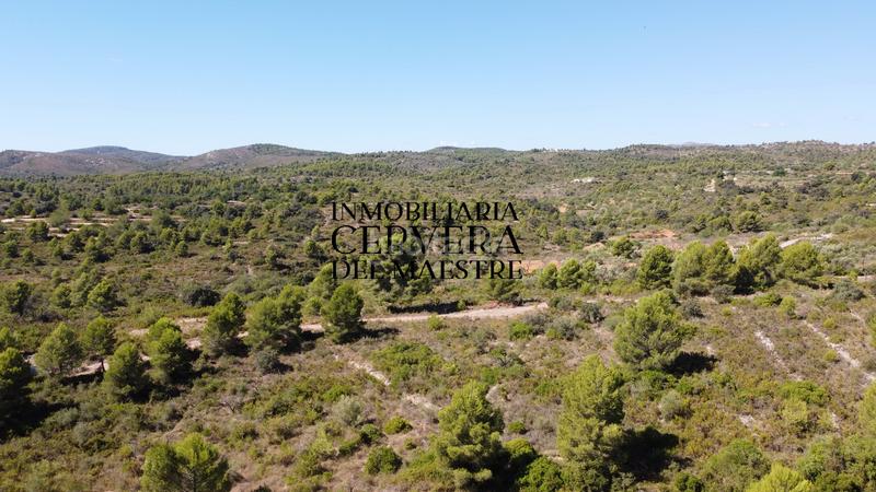 Foto 049a2313-0c60-4a6d-b0ae-a1b5dedd4c4b. Finca rústica en Cervera del Maestre