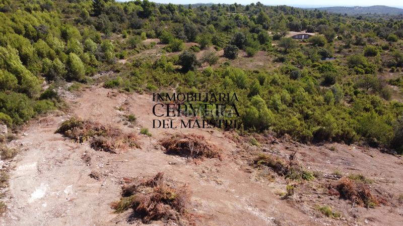 Foto 07c2cd2f-1a6f-4224-ac6a-6cc6fae7b2f0. Finca rústica en Cervera del Maestre