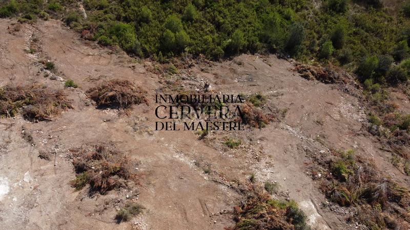 Foto 33388822-7700-4768-a0b9-b1995242c9ee. Finca rústica en Cervera del Maestre