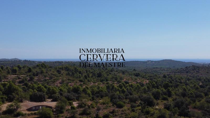 Foto 36b8ba5d-4196-4ab2-ae6b-57058e5fdd71. Finca rústica en Cervera del Maestre