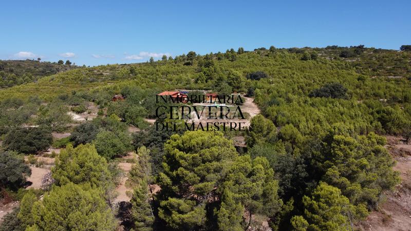 Foto 389bd5e4-a7ff-4f59-931a-2e0547e7f46e. Finca rústica en Cervera del Maestre