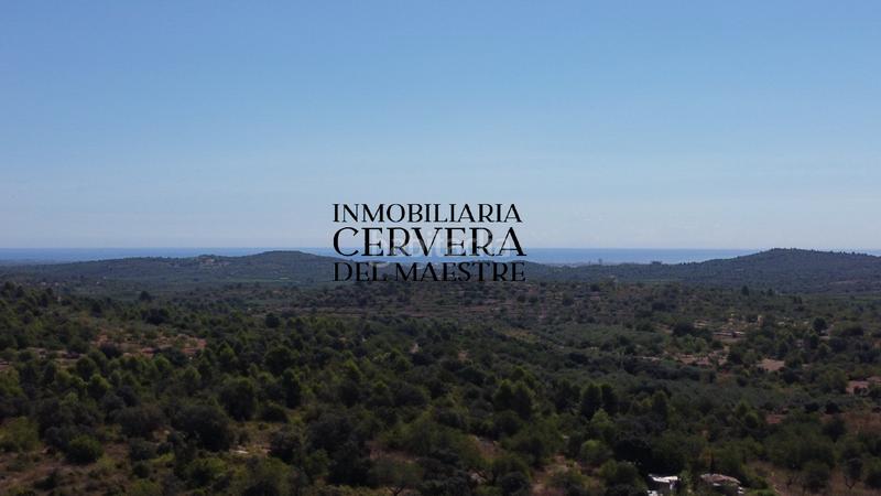 Foto 44448b0e-cb60-4a4a-87a1-6b5052953586. Finca rústica en Cervera del Maestre