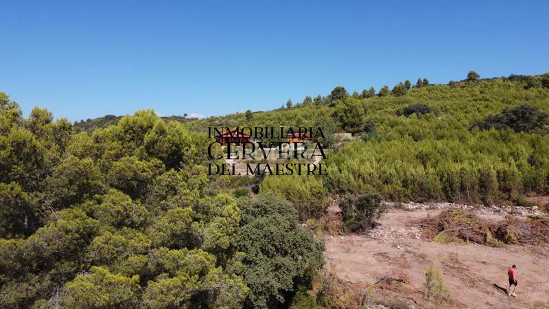 Foto 6ec6a83b-95d9-4163-a267-602d9078a535. Finca rústica en Cervera del Maestre