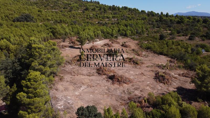 Foto 7ec24384-d3f4-4045-ac1f-6af9661c9850. Finca rústica en Cervera del Maestre