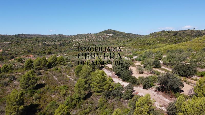 Foto 8af68f50-6c7c-4fc6-8f08-670214968b10. Finca rústica en Cervera del Maestre