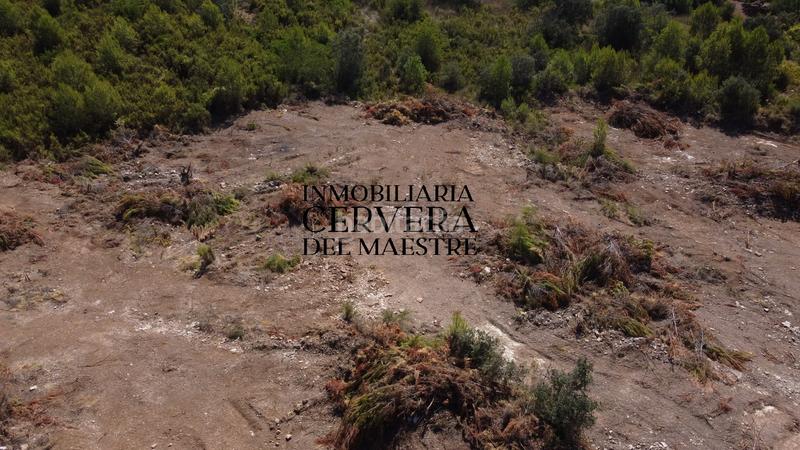 Foto 910f0b38-1049-4e41-8119-940d0f82476d. Finca rústica en Cervera del Maestre