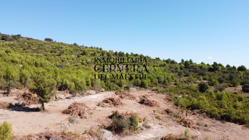 Foto 9f8eba4a-1ed3-444b-b91f-ab57a0f72f20. Finca rústica en Cervera del Maestre