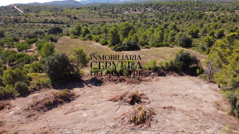 Foto a0c6fdab-f39a-4893-8d84-c5a5fea02cdc. Finca rústica en Cervera del Maestre