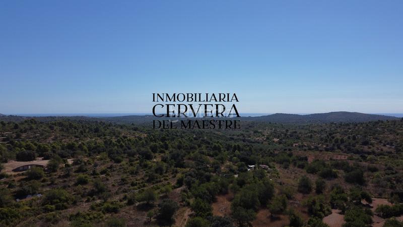 Foto c5289c7c-d9af-452f-ae0d-9054e7880c11. Finca rústica en Cervera del Maestre