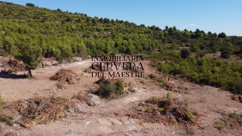 Foto cb205662-8215-4a44-b54e-bf1e2a94a99f. Finca rústica en Cervera del Maestre