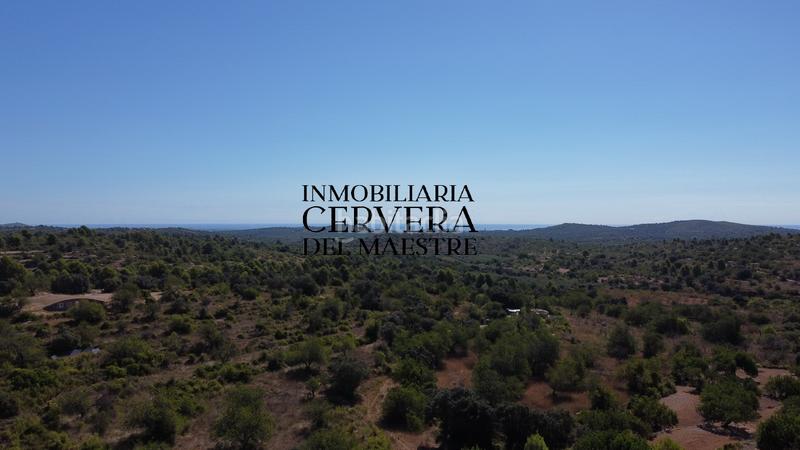 Foto dc67944b-e733-42ab-a8a6-1cec2c44d542. Finca rústica en Cervera del Maestre