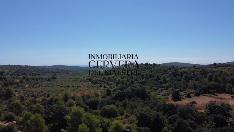 Foto f4a27183-24f3-409a-949a-b22249f6ee9c. Finca rústica en Cervera del Maestre