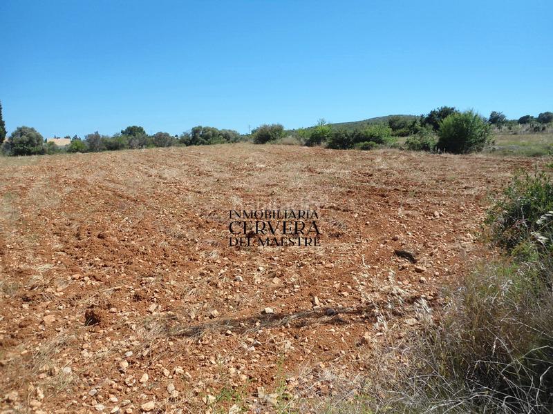 Foto c2e446fa-1f70-4212-ae16-958e205134e0. Landgut in Costa Sur Peñíscola