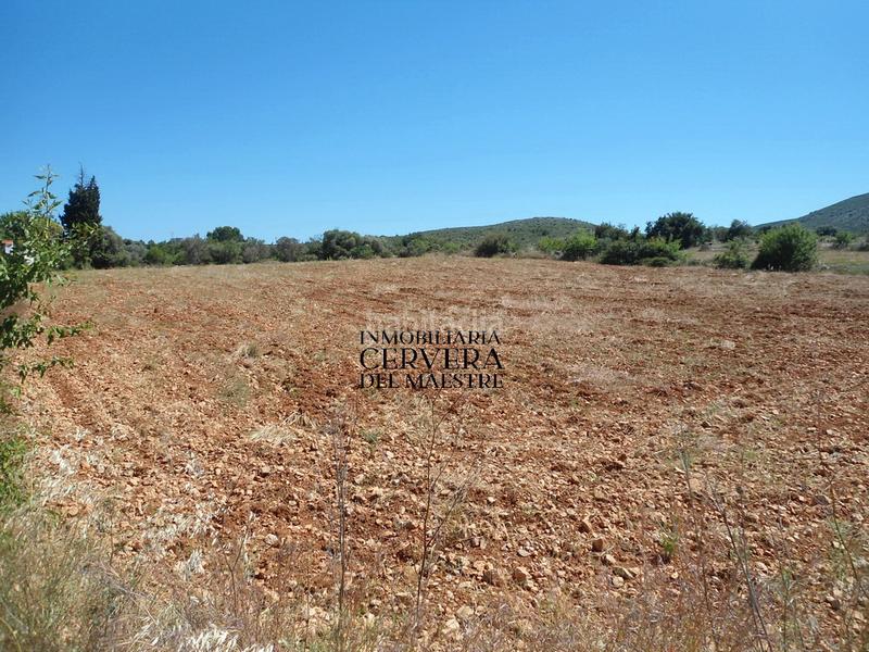 Foto 633fcd28-f1f5-43d7-824f-b52ea71e237b. Propriété dans Costa Sur Peñíscola