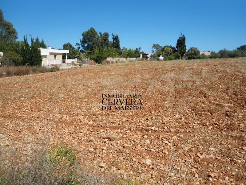 Foto 9b07e857-b294-4c60-9e7e-1af62cd70a6d. Finca rústica a Costa Sur Peñíscola