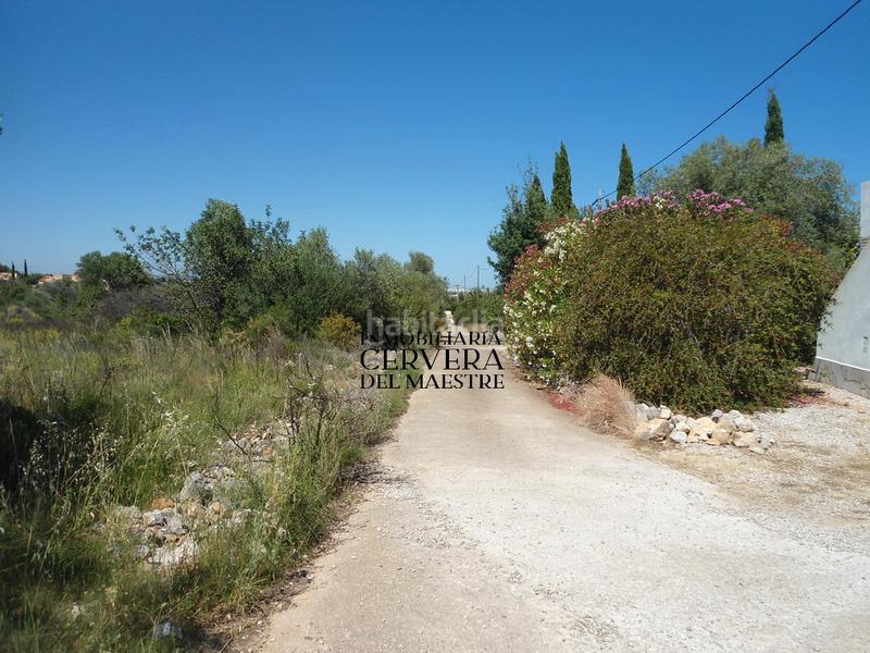 Foto 26ab9238-6347-4edc-93d3-e33389ec2d41. Finca rústica en Costa Sur Peñíscola