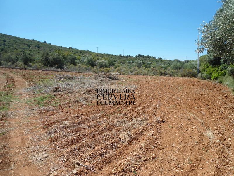 Foto 3691a61e-48c2-4259-862f-c92d736922a8. Finca rústica en Costa Sur Peñíscola