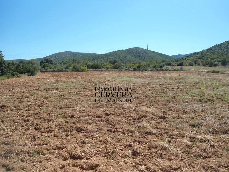 Foto 5039b518-4246-4d8f-9896-0adadca43713. Finca rústica en Costa Sur Peñíscola