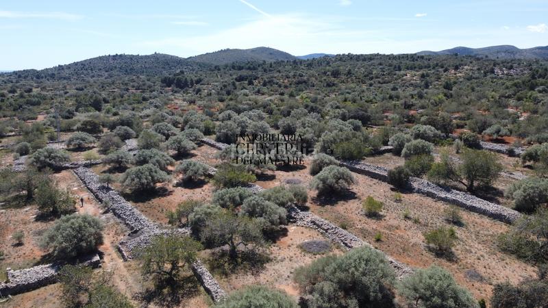 Foto 0a5fb2d7-86c0-4887-81e1-705523020fa6. Rural plot in Cervera del Maestre