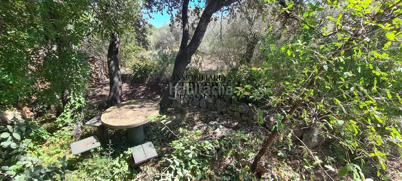 Foto 24de67f4-f420-44be-ab14-14233dba80c3. Rural plot in Cervera del Maestre