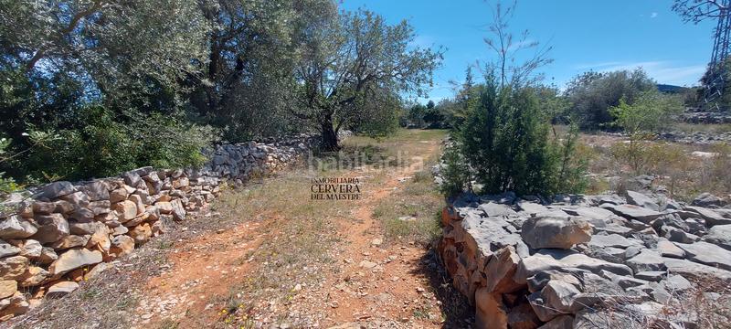 Foto 34df2638-e966-41d9-a68c-abb605d1d489. Rural plot in Cervera del Maestre