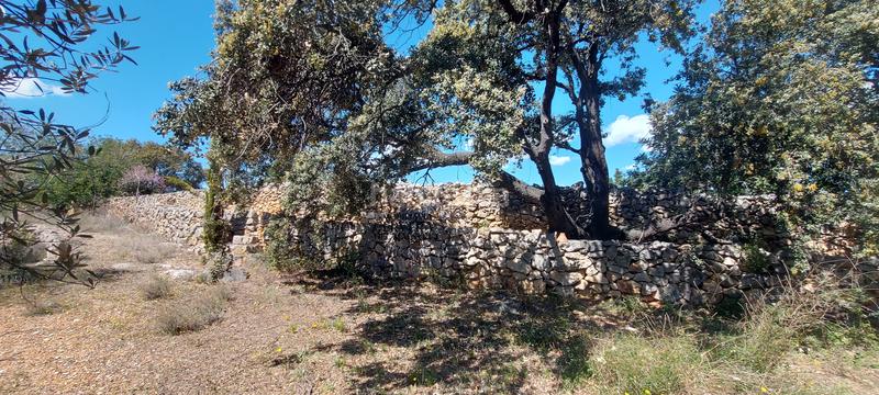 Foto 45559817-b73a-4b75-bad4-406ead91b59b. Rural plot in Cervera del Maestre