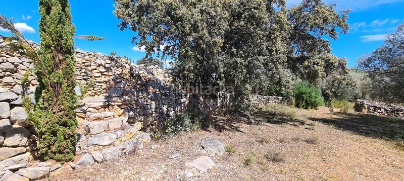 Foto 5b058019-b4b0-497e-9e5f-6c929b62b8dd. Rural plot in Cervera del Maestre