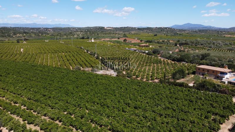 Foto 5bfb89d7-2b01-4707-9f25-5f37b0ed8b52. Rural plot in Cervera del Maestre