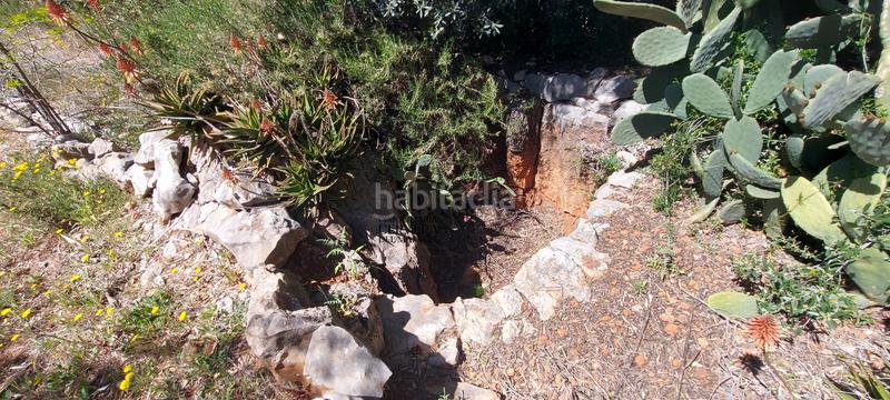 Foto 60d003a5-e7db-49f5-b645-aa5665f4a48d. Rural plot in Cervera del Maestre