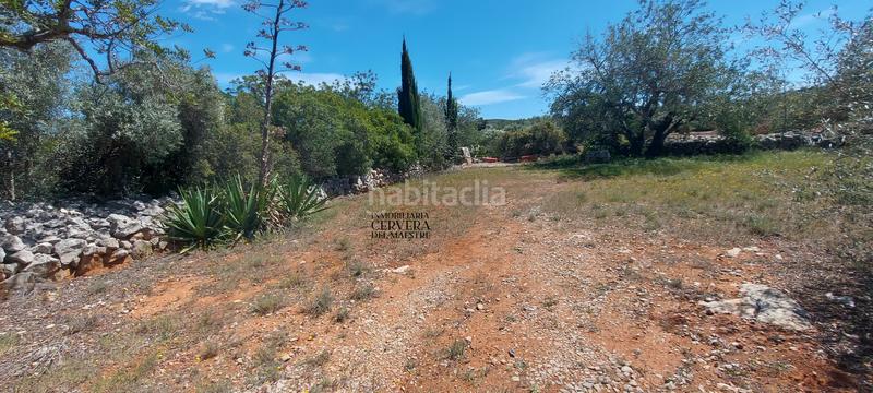 Foto 637721ab-dc35-478a-9cac-1d422f860cb1. Rural plot in Cervera del Maestre