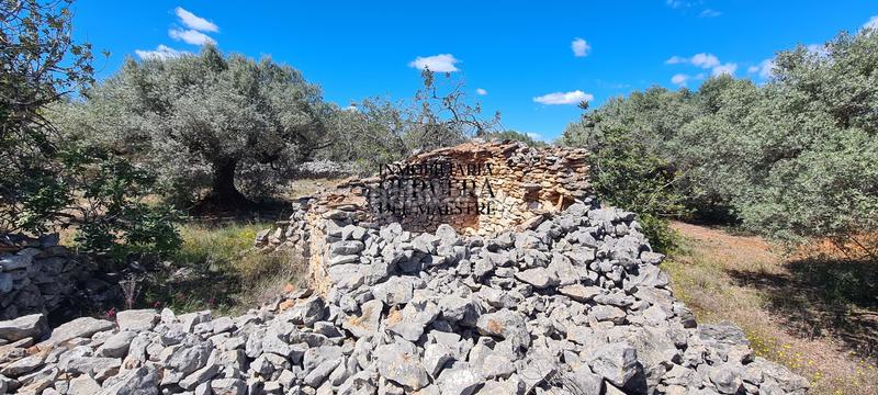 Foto 68db29b0-abb7-4ee8-b014-e33895786c67. Rural plot in Cervera del Maestre