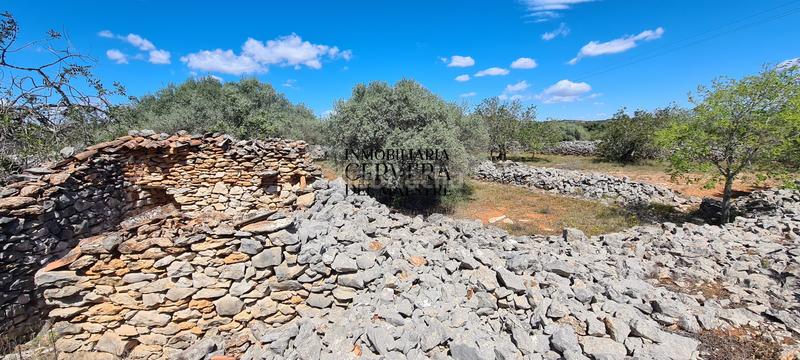 Foto 72179365-7221-4a5a-b0a5-5f3802067b22. Rural plot in Cervera del Maestre