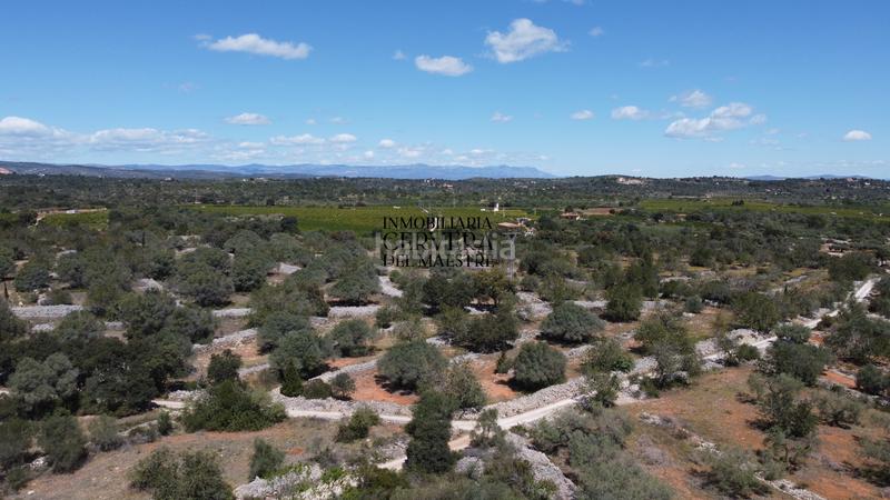 Foto 77b46782-4594-435a-bbc5-7d7f98735d41. Rural plot in Cervera del Maestre