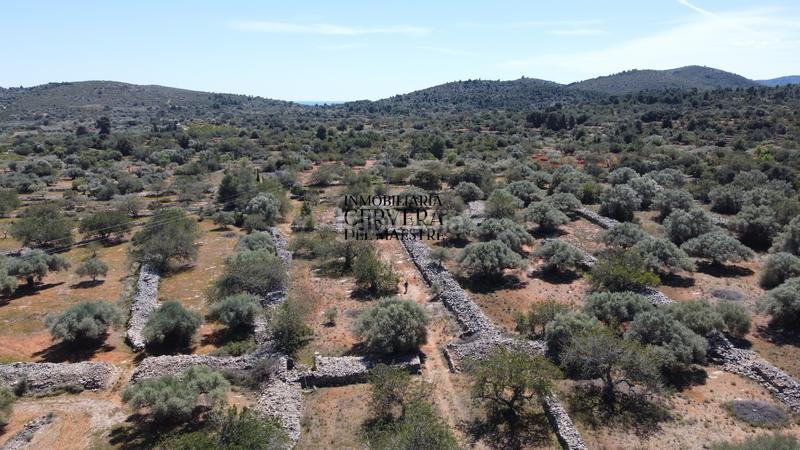 Foto 7e03d3ae-ec61-4240-9499-b25f9411917b. Rural plot in Cervera del Maestre