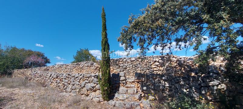 Foto 8b107037-017d-45bb-9373-6c3b1cdfc996. Rural plot in Cervera del Maestre
