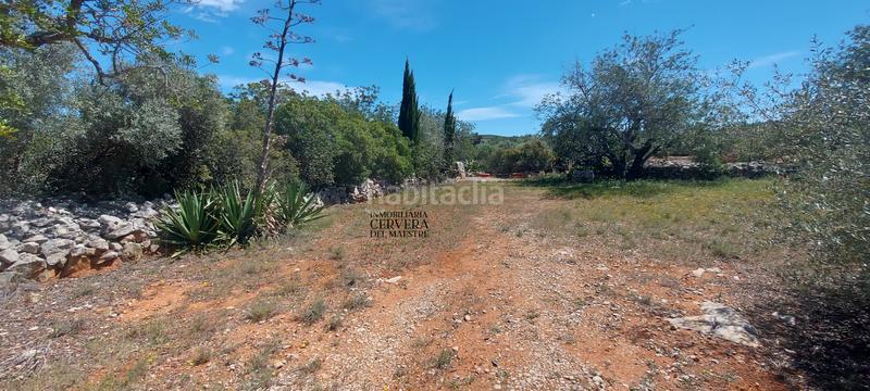 Foto 950d8c44-f84f-4c49-b2f2-247586df25bf. Rural plot in Cervera del Maestre