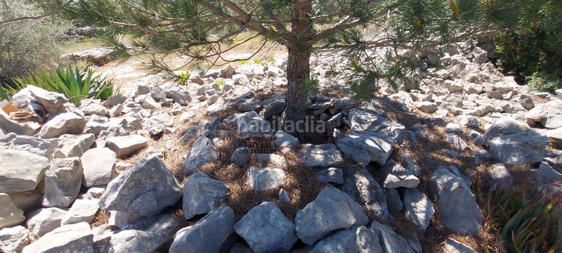 Foto 9d12fc96-b0ba-4993-9386-c51be7dcf913. Rural plot in Cervera del Maestre