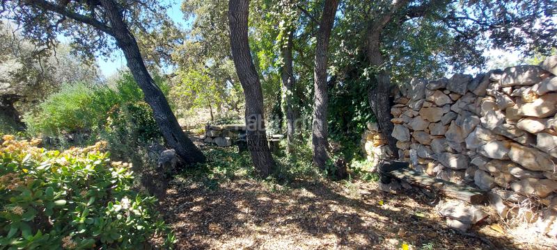 Foto a603e257-ac20-4824-88da-9e633c968a60. Rural plot in Cervera del Maestre