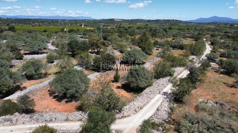 Foto ac4fe62d-512c-4397-b9a7-43182dfbadd3. Rural plot in Cervera del Maestre