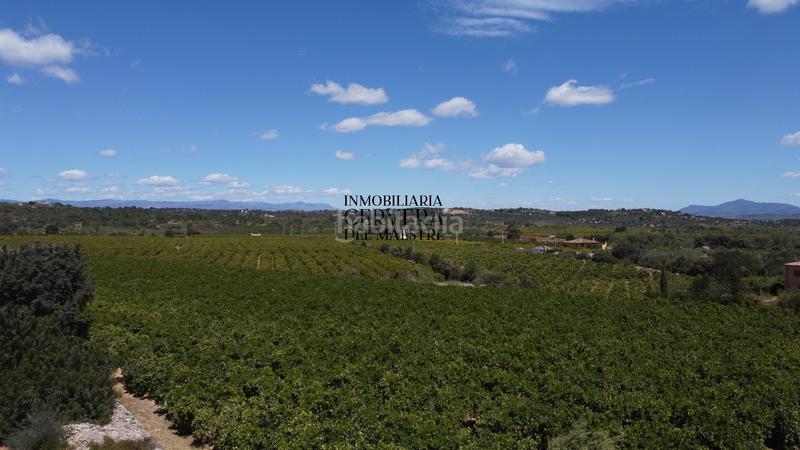 Foto b9236b5a-0627-40d9-a4e3-bea6eeced42a. Rural plot in Cervera del Maestre