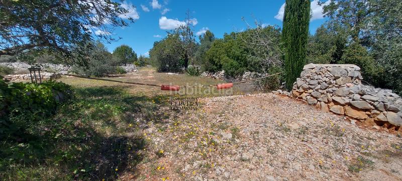 Foto c7466bd1-90b9-4264-be58-df95e223bd54. Rural plot in Cervera del Maestre