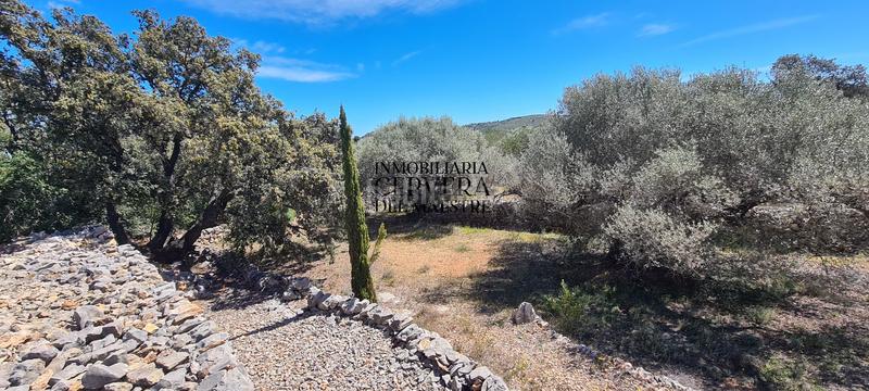 Foto c95f8eb2-01e3-4de7-b579-2ea3c858703e. Rural plot in Cervera del Maestre