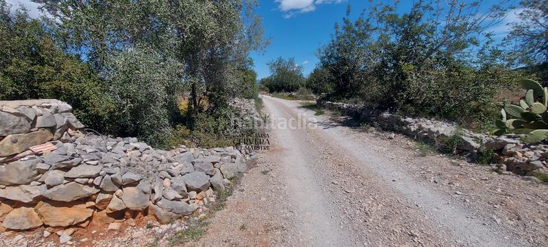 Foto d8ff29b3-f99e-458e-adb4-aafb7f764faf. Rural plot in Cervera del Maestre