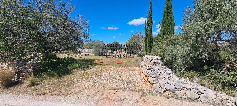 Foto e0ed6c4d-3d1c-4743-b8ec-b54a18985a6a. Rural plot in Cervera del Maestre