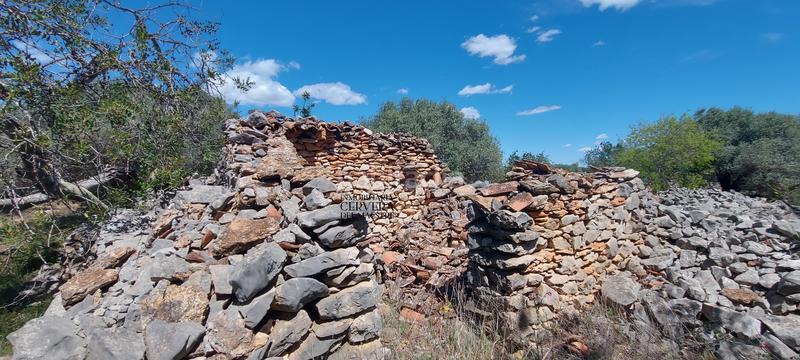 Foto e7395d80-0bda-4c06-8c42-1df2ea8ac075. Rural plot in Cervera del Maestre