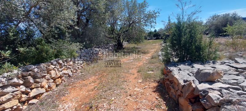 Foto ede6b7c7-98a1-4d9f-95d0-9d450e0814e0. Rural plot in Cervera del Maestre