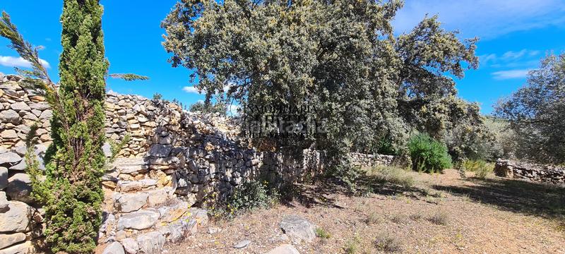 Foto fe720e5e-cc91-419b-b0ab-0a5a25c375a8. Rural plot in Cervera del Maestre